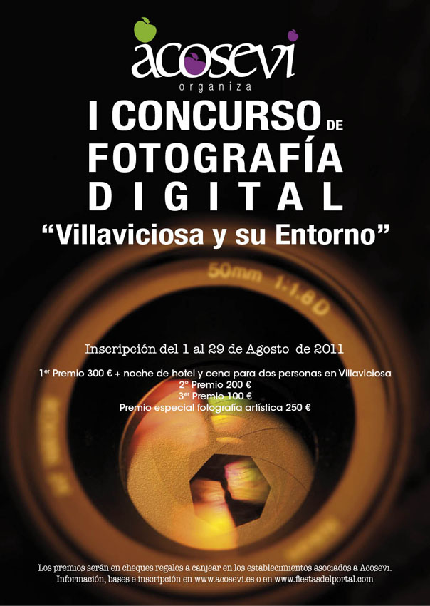 Cartel I Concurso de Fotografía Digital Villaviciosa y su entorno