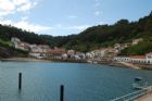 Fiestas Tazones